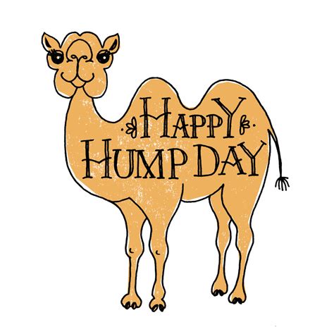 hump day images with camel|hump day camel clip art.